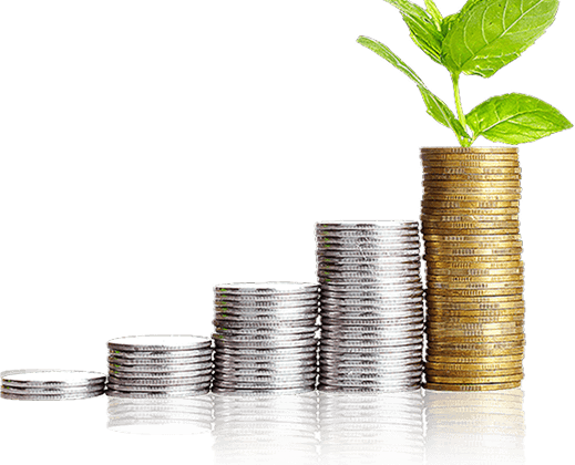 Coins stacked with a sprouting plant