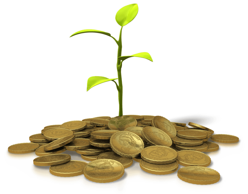 Investment blocks and coins beside a house